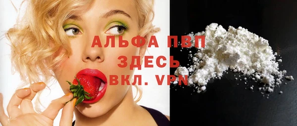 ешки Бородино