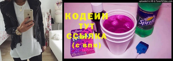 ешки Бородино