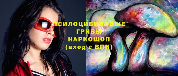 мдпв Бугульма