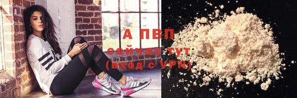 ешки Бородино