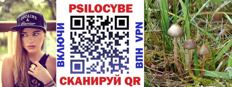 Галлюциногенные грибы Psilocybe  Гремячинск 